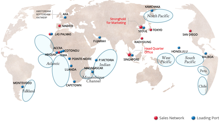 Sales Network / Loading Port